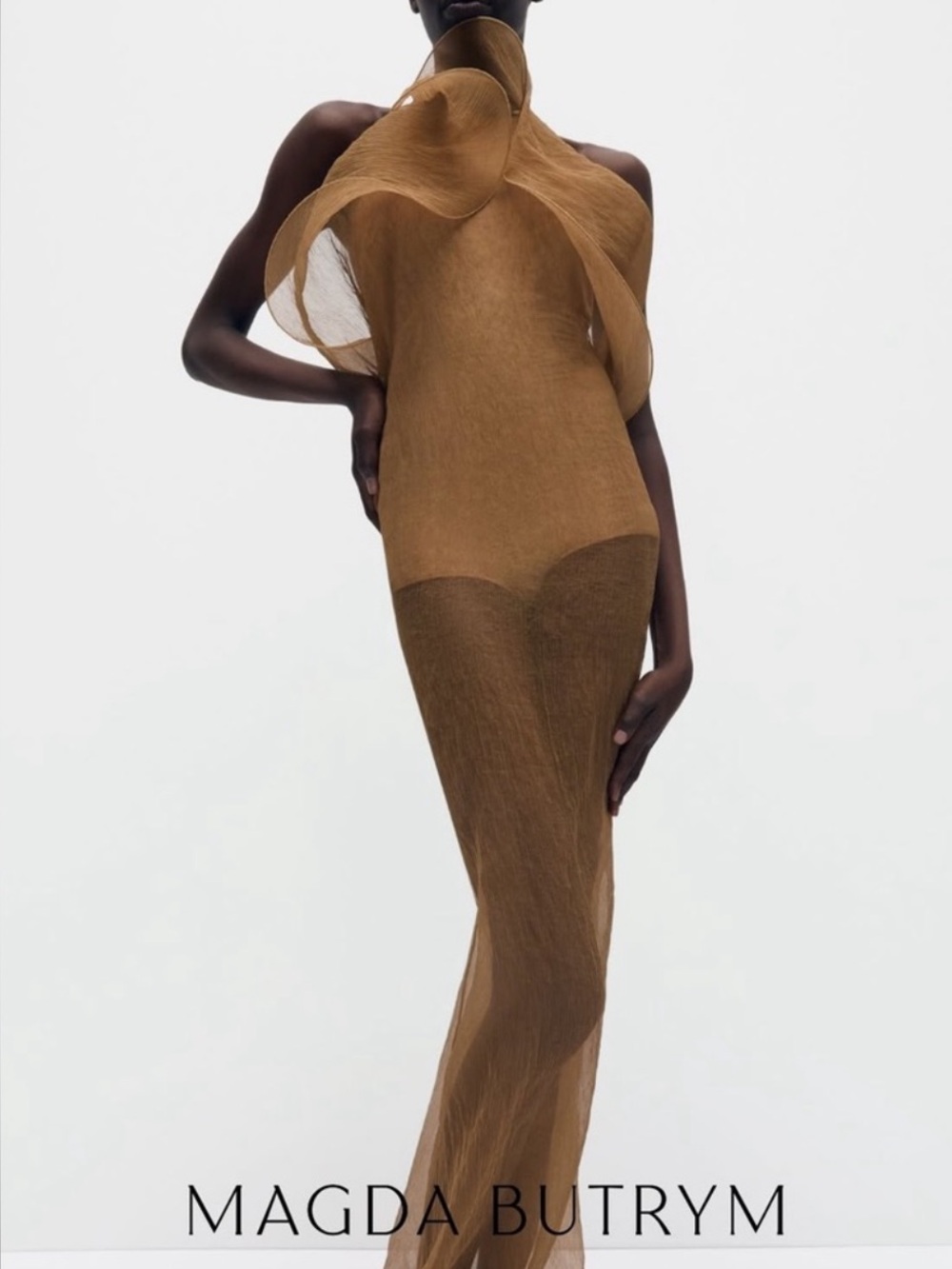 Magda Butrym Sheer Silk-Organza Gown in Light Brown